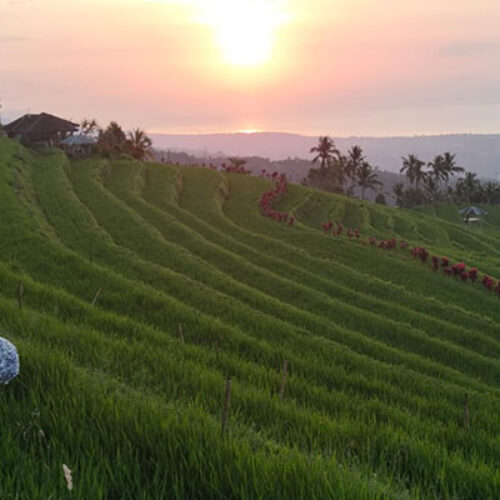 Bali Tour 3 Days - 2 Nights