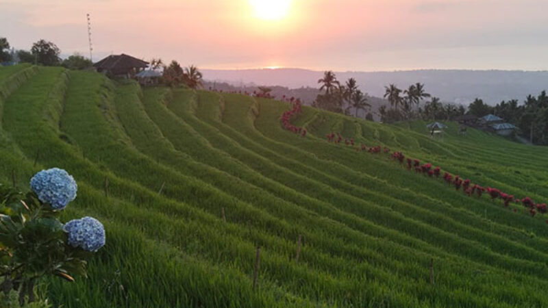 Bali Tour 3 Days - 2 Nights
