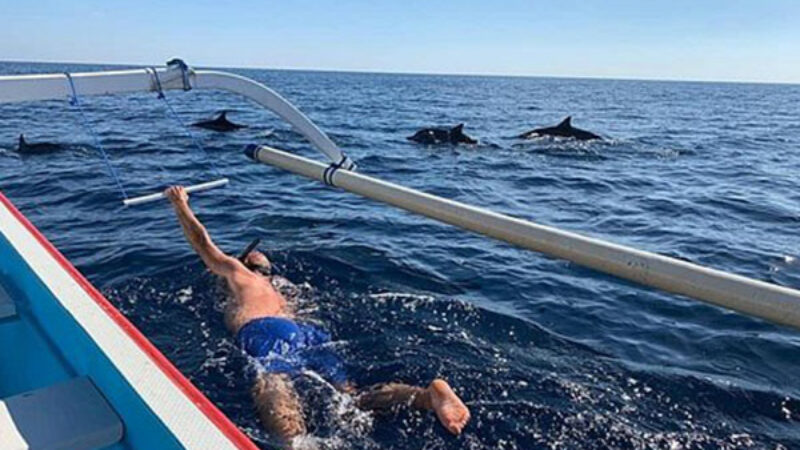 Tour Package 1 Bali Dolphin Tour PT Bali Ekstrimindo Adventure (2)