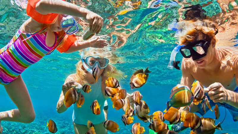 Tour Package 1 Bali Dolphin Tour PT Bali Ekstrimindo Adventure (3)