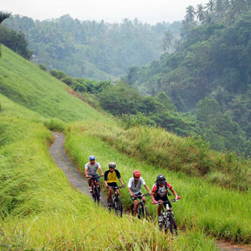 Tour Package 3 Adventure & Outdoor Activities PT Bali Ekstrimindo Adventure_0005_6 Mountain Cycling, Jungle Walk & Canoe