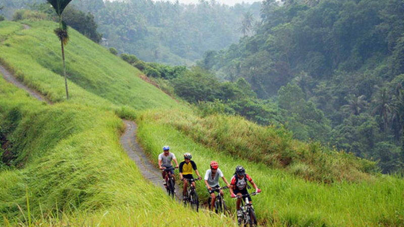 Tour Package 3 Adventure & Outdoor Activities PT Bali Ekstrimindo Adventure_0005_6 Mountain Cycling, Jungle Walk & Canoe